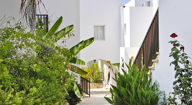 Akti Beach Village Resort, Paphos 10