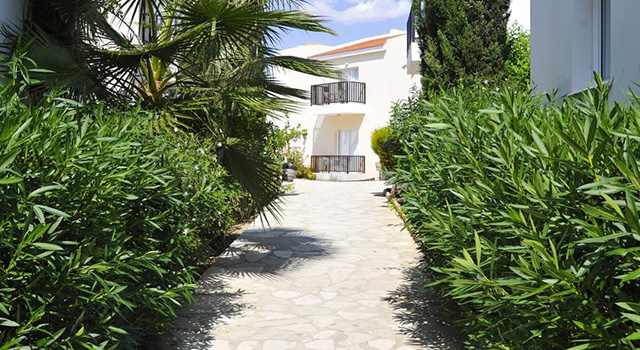 Akti Beach Village Resort, Paphos 11