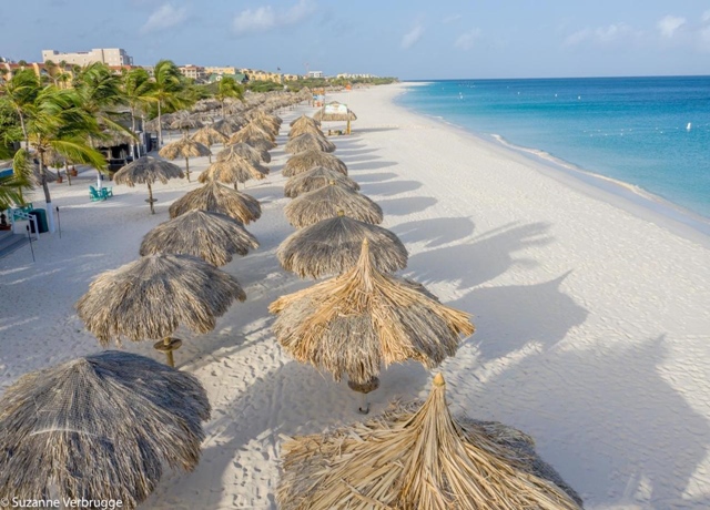 Amsterdam Manor Beach Resort 4*, Eagle Beach 6
