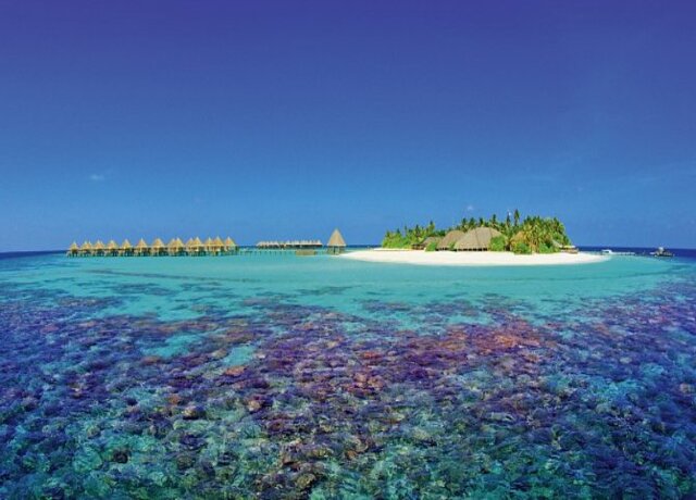 Angaga Island Resort 4*, South Ari Atoll 9