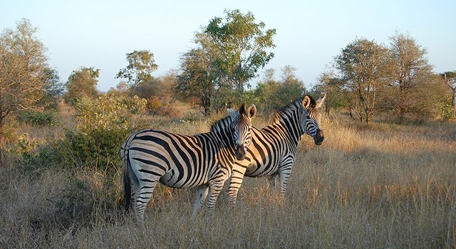 Circuit Africa de Sud - Victoria Falls 1