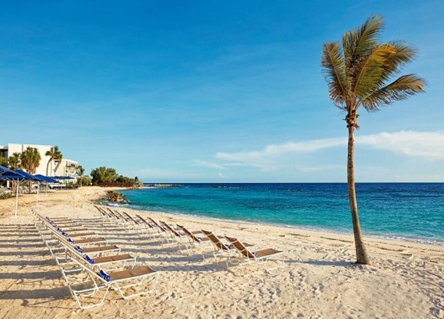 Curacao Marriott Beach Resort 5*, Willemstad 9