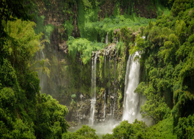 Descoperiti Paradisul din Mauritius! 10