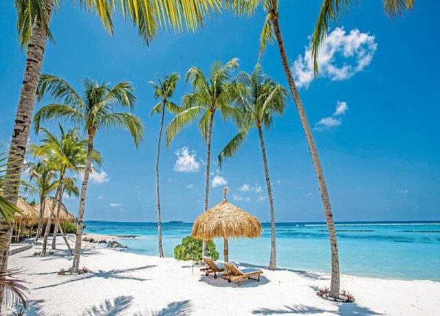 Emerald Maldives Resort & Spa 5*, Raa Atoll 4