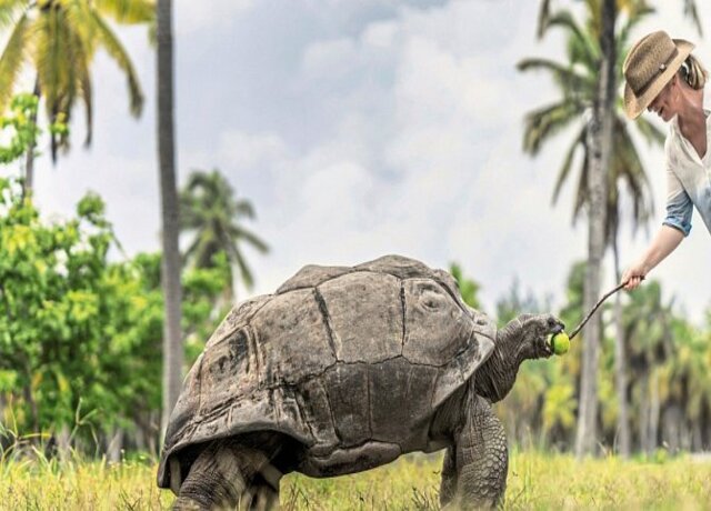 Four Seasons Resort Seychelles at Desroches Island 5*, Insula Desroches 4