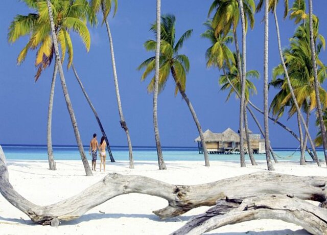 Gili Lankanfushi Maldives 5*, Nord-Ari-Atoll 8