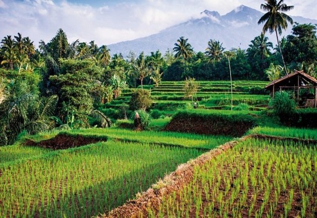 Destinatii Exotice: Indonezia - Bali