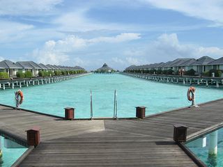 Maldive - Luna de miere