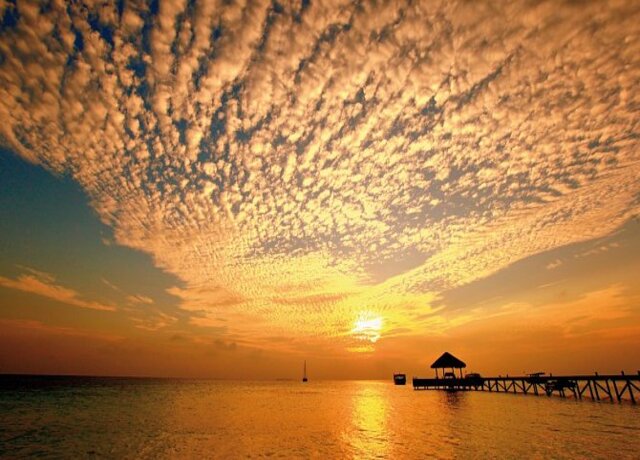 Mirihi Island Resort 5*, Mandhoo 14