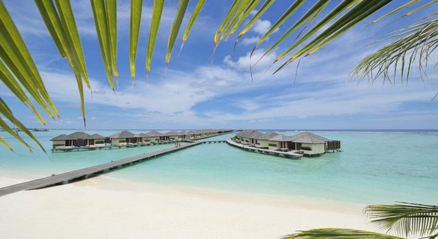 Oferta speciala Maldive