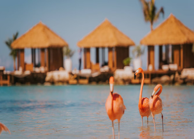 Renaissance Wind Creek Aruba Resort 4* 4