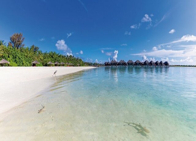 Sentido OBLU Helengeli 4*, Nord Male Atoll 4