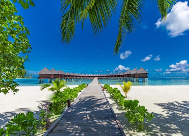 Sun Syiam Olhuveli 4*, Sud Male Atoll 9