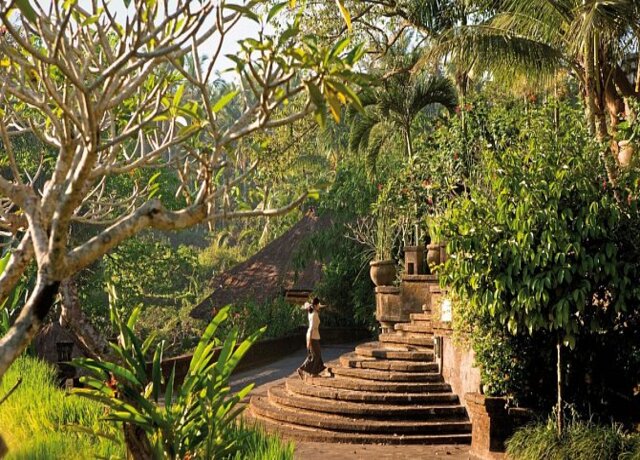 The Payogan 4*, Ubud 12