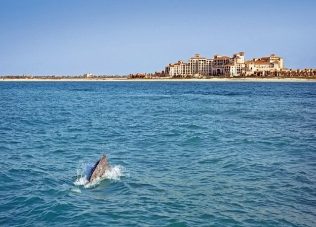 The St. Regis Saadiyat Island Resort 5*, Abu Dhabi 10
