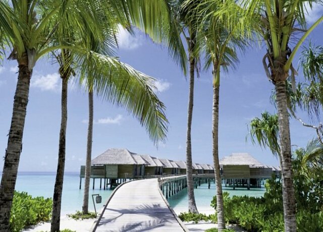 Vakkaru Maldives 5*, Baa Atoll 6