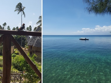 Zanzibar, paradisul de pe pamant