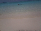img1